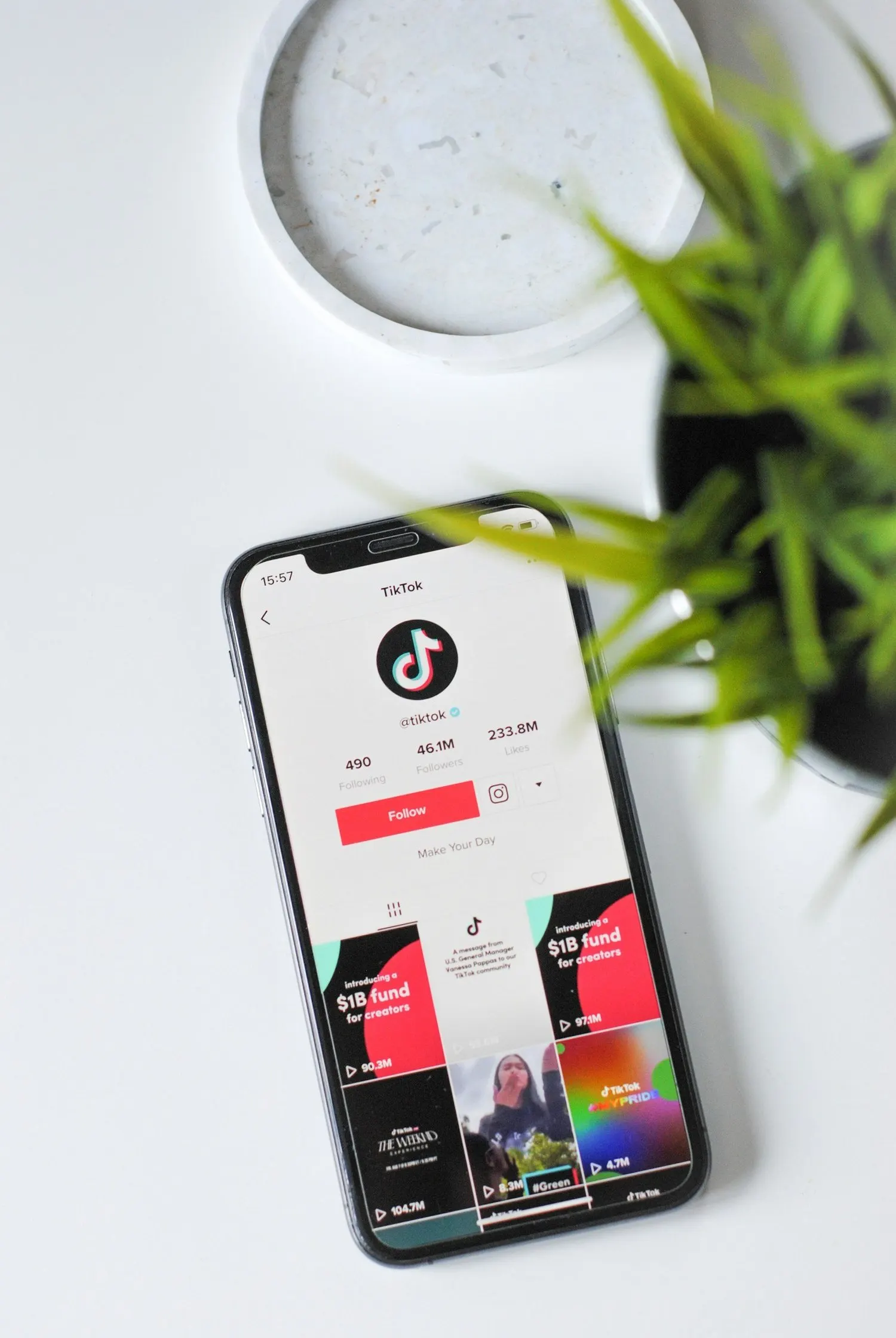 Smartphone displaying a TikTok profile beside a plant on a white desk.