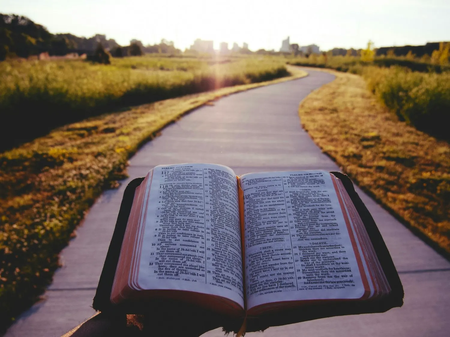 Open Bible held along a sunlit walking path.